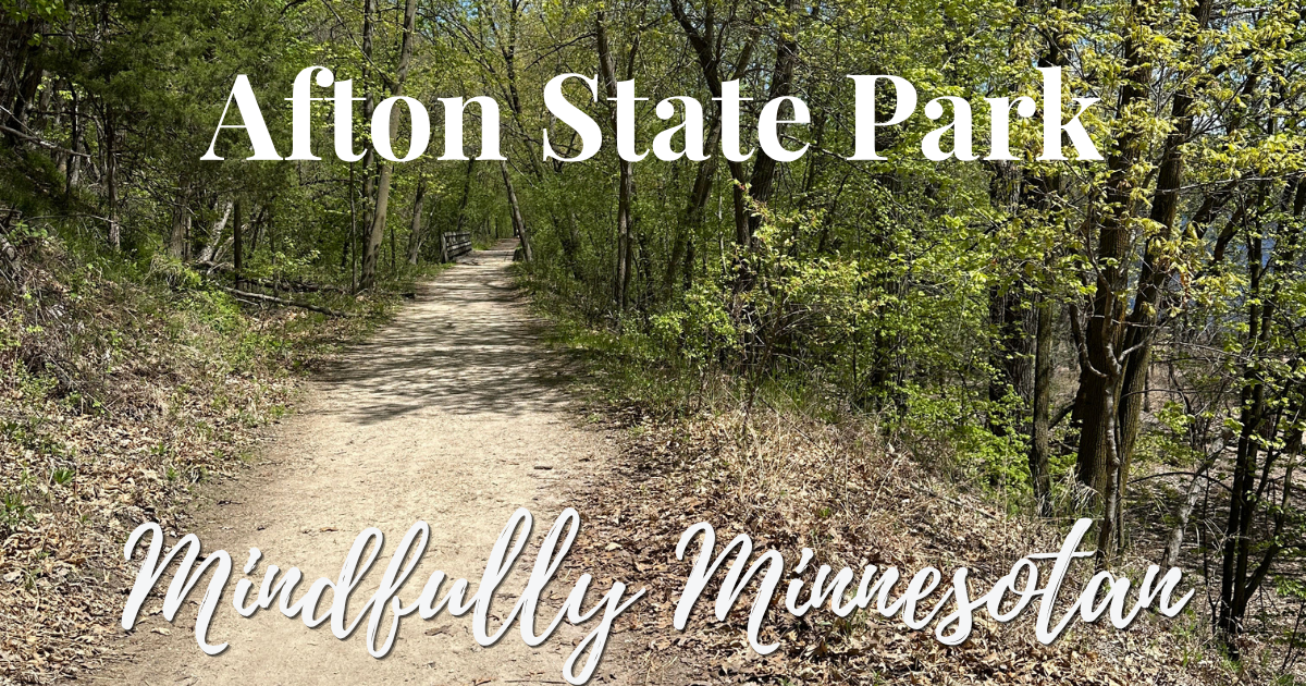 Afton State Park: Hidden Gem Near the Twin Cities