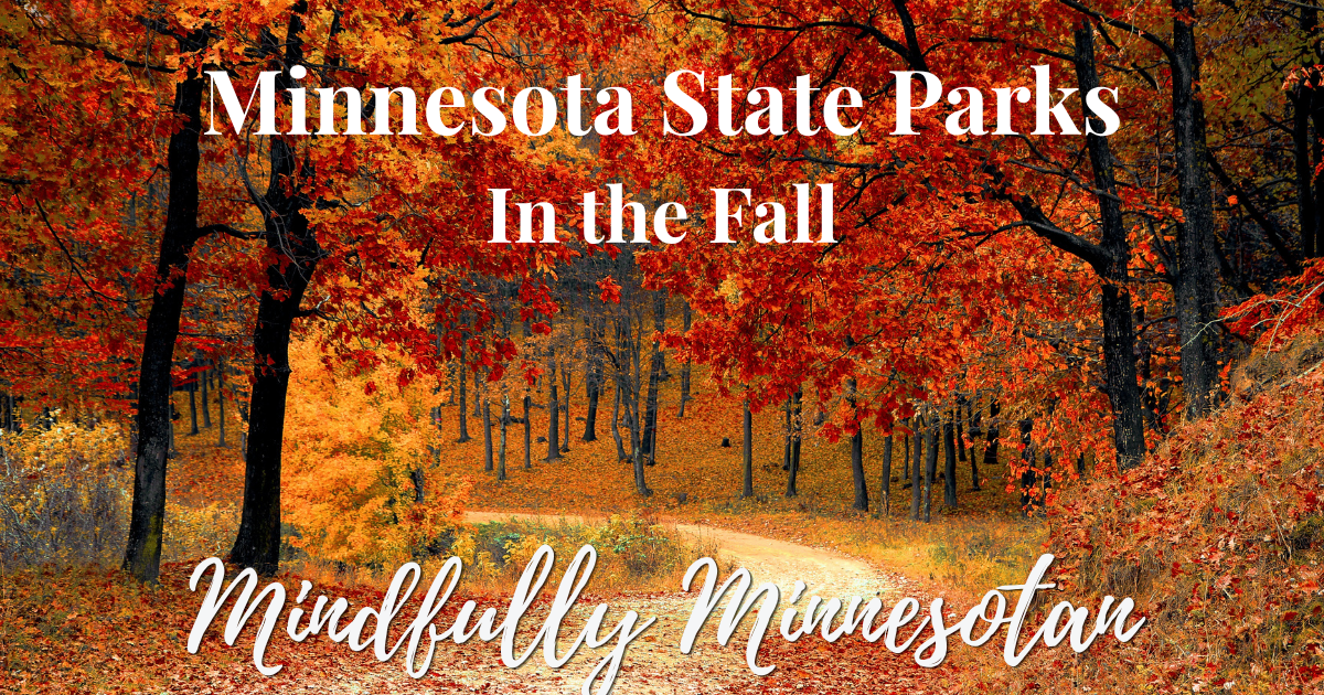 The Best Minnesota State Parks for Fall Colors (And When to Catch Peak at Each One)